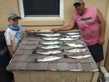 Crystal River Report Photo 2