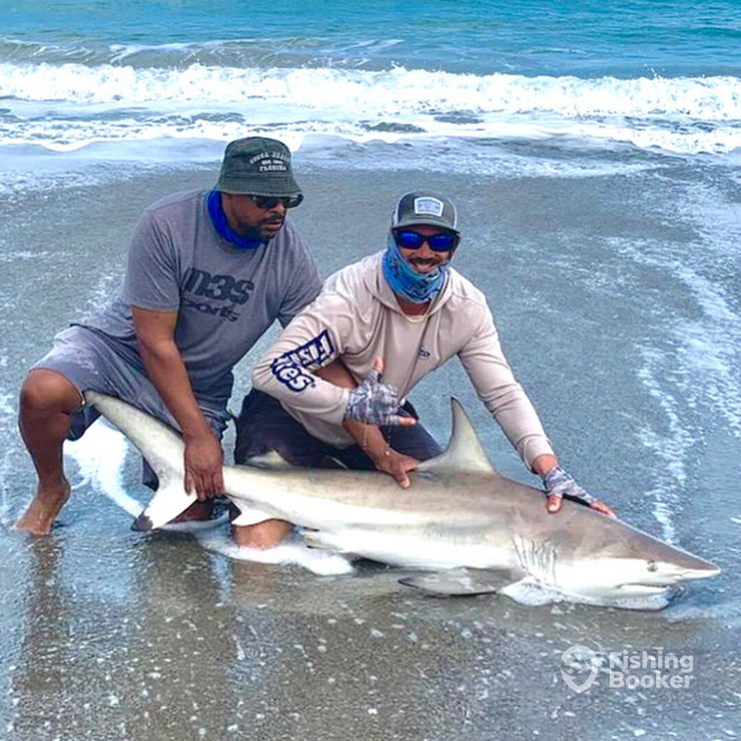 Guided shark fishing trip success!