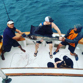 More sailfish