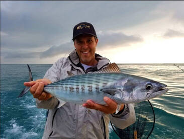 Bonito are on the way!!!