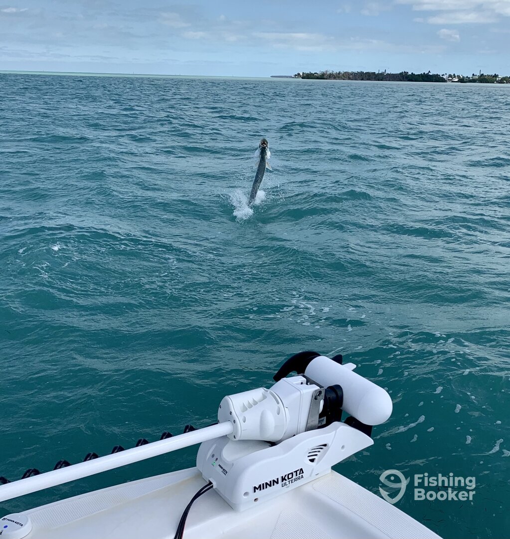 Islamorada Report Photo 0