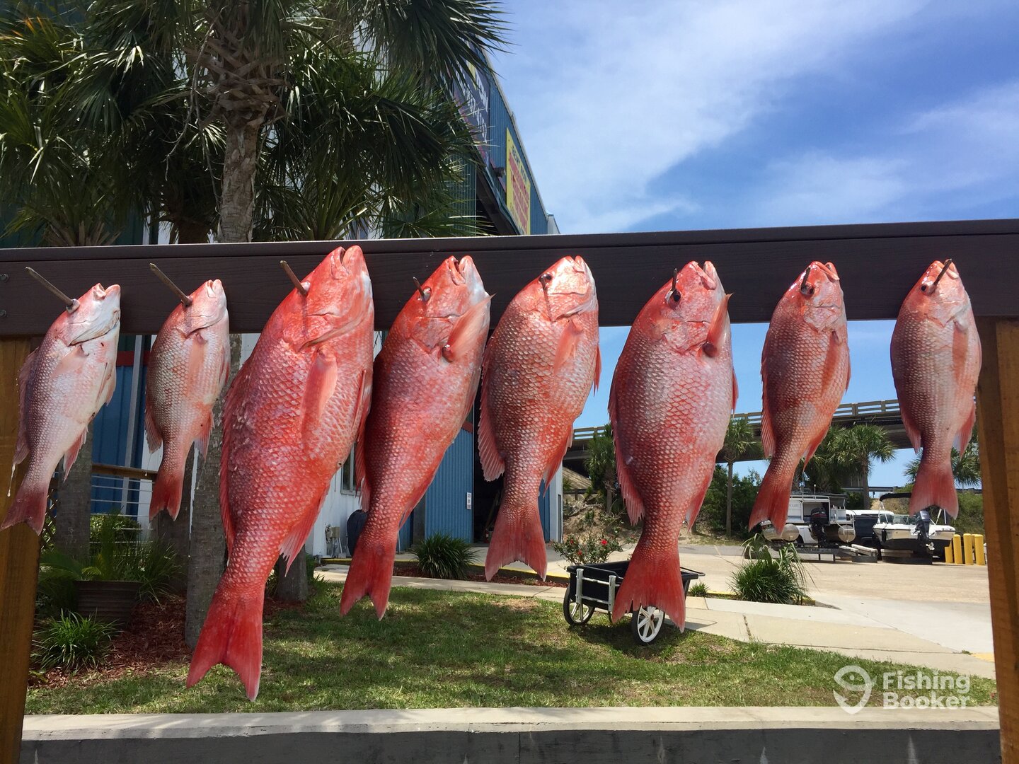 Destin Report Photo 0