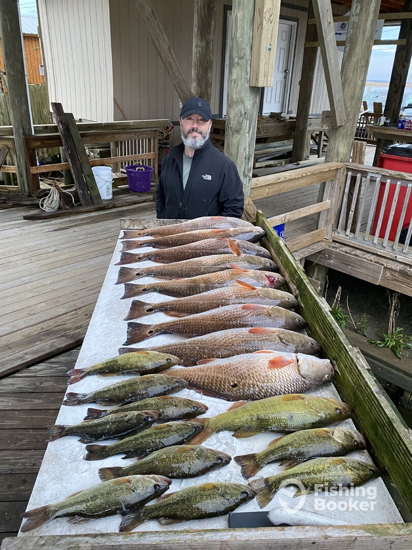 New Orleans Report Photo 0