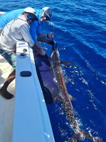 Playa Flamingo Report Photo 2