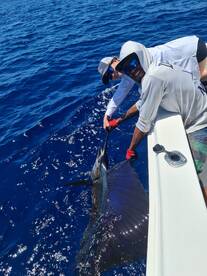 Playa Flamingo Report Photo 1