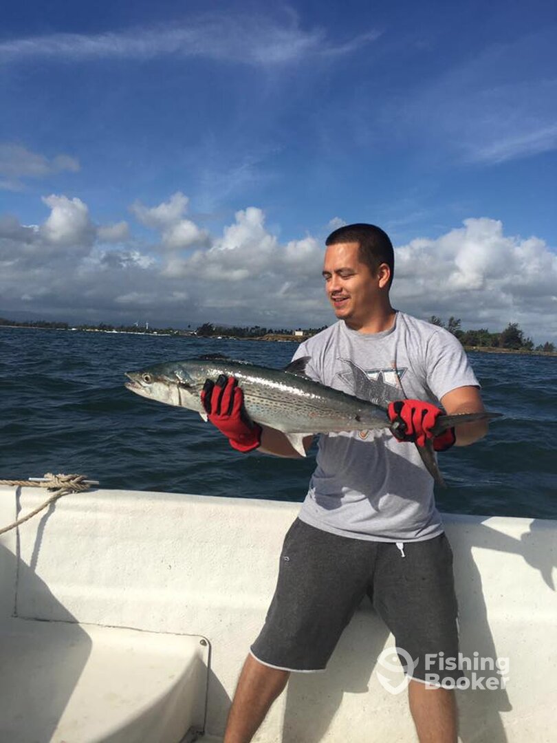 Huge mackerel fishing in puerto rico