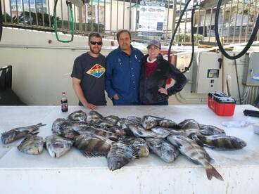 Orange Beach Report Photo 2