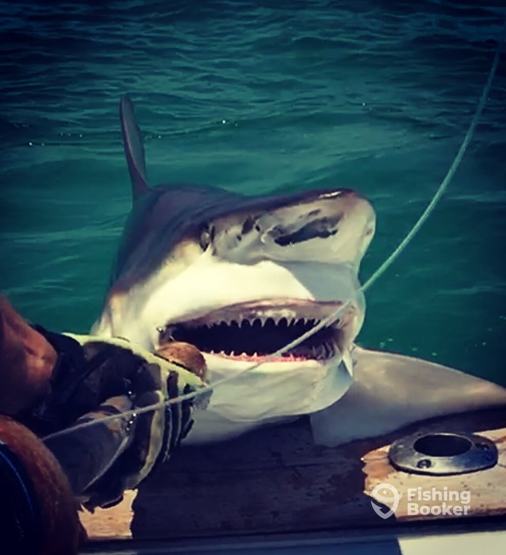 Destin Report Photo 0