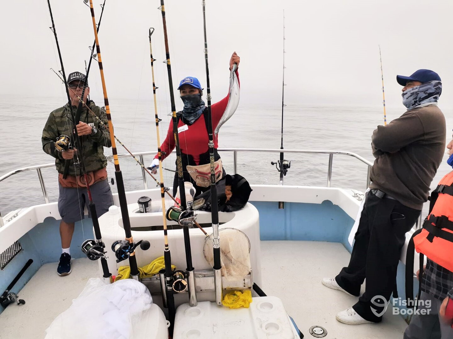 barracuda trolling