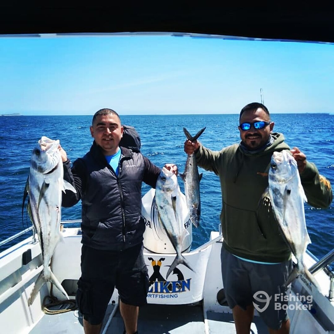 San Jose del Cabo Report Photo 0