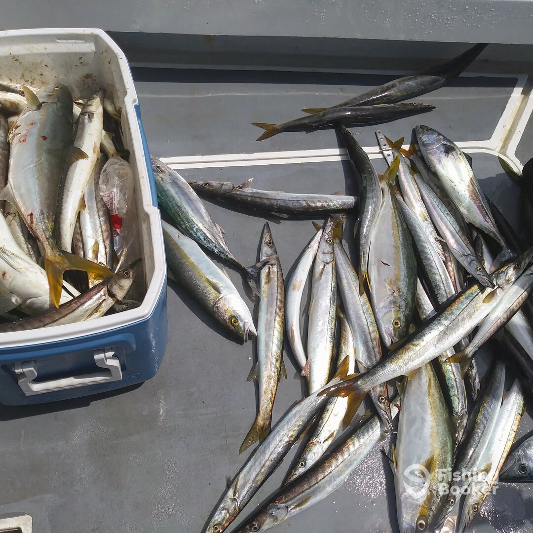 Ensenada Report Photo 0