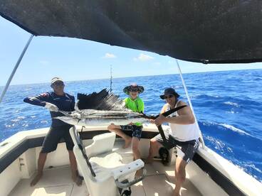 Huge Sailfish
