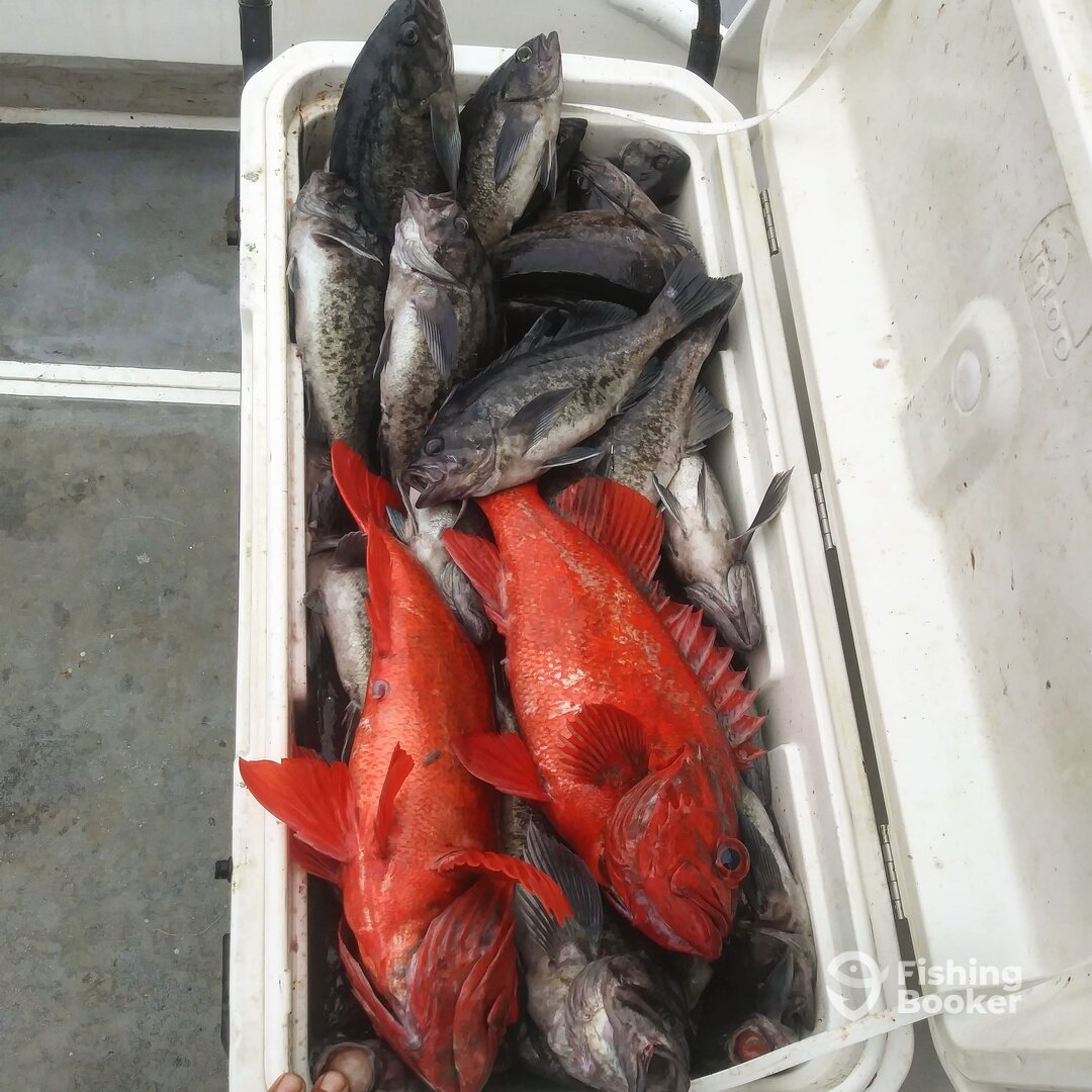 Ensenada Report Photo 0