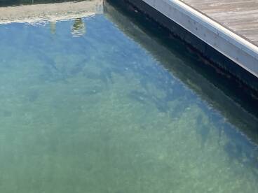 Spring is epic Fishing  