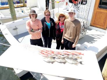 Orange Beach Report Photo 1