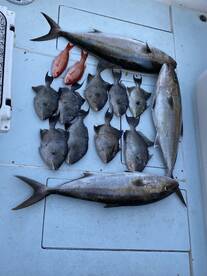 St. Augustine Report Photo 1