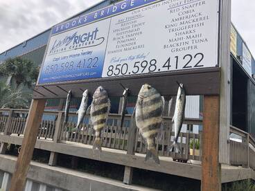 Living Right Fishing Charters