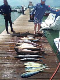 Mahis running , great 8 hours trip