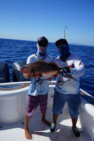 Herradura Report Photo 1