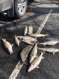Lakeside Marblehead Report Photo 2
