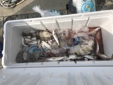 Biloxi Report Photo 1