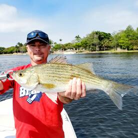 Delray Beach Report Photo 1