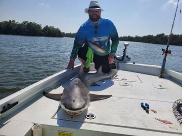 Nice Bull shark!