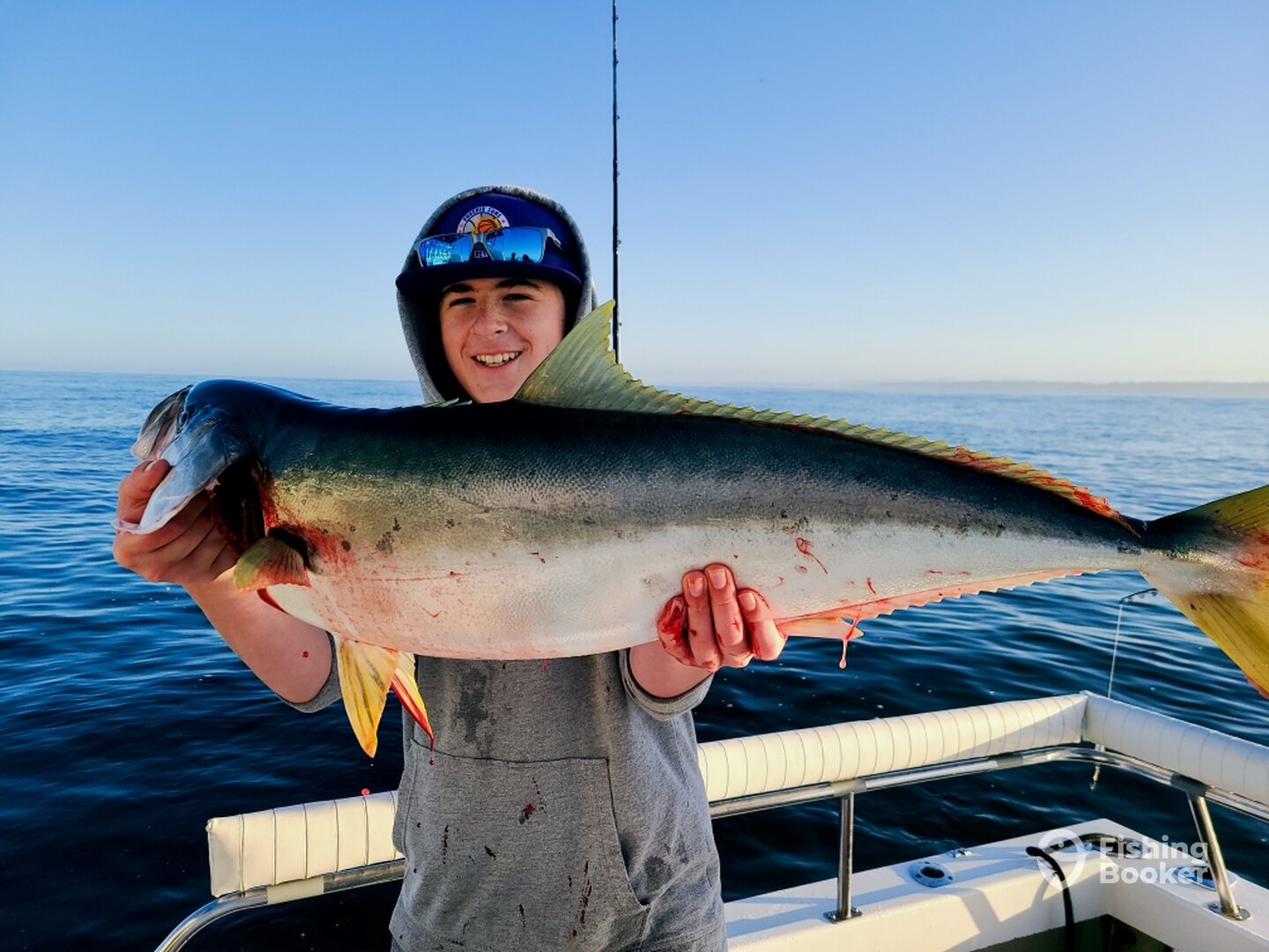 Yellowtail on a San Diego Half Day Inshore Trip