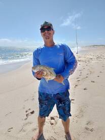 Schooling pompano
