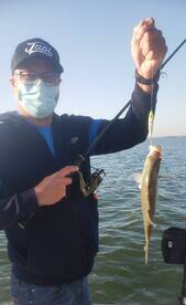 Lewisville Report Photo 2