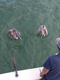 Port Canaveral Report Photo 1