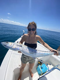 Sarasota Report Photo 2