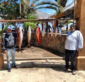San Jose del Cabo Report Photo 2