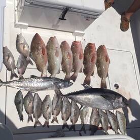 Madeira Beach Report Photo 2