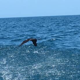Madeira Beach Report Photo 1