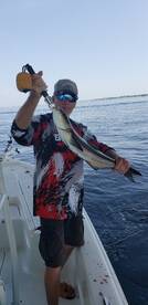 Cobia fishing ready to explode.  