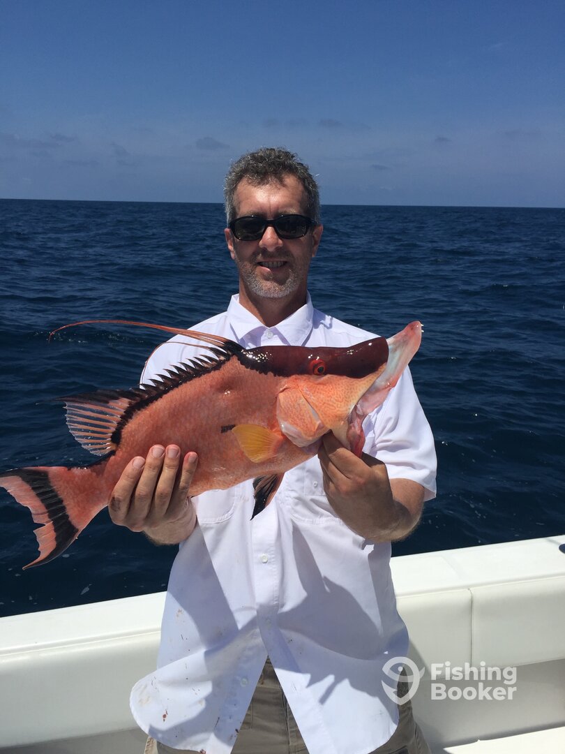 Madeira Beach Report Photo 0