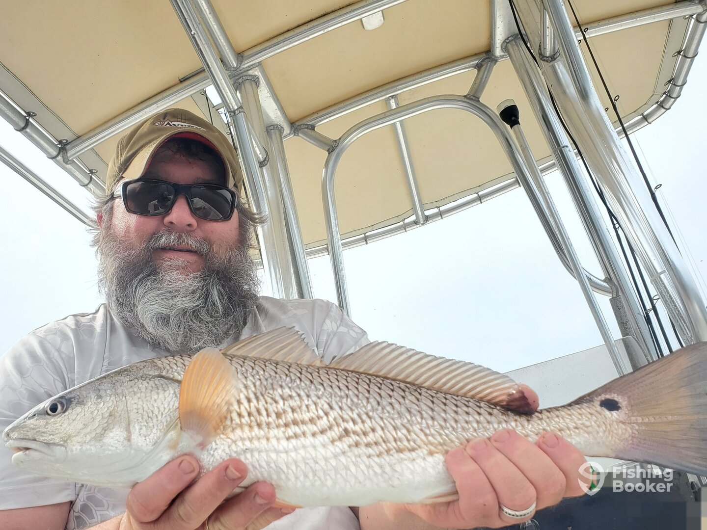 Redfish caught using live bait