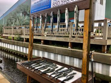 Destin Report Photo 2