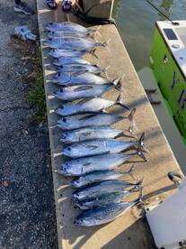 Dania Beach Report Photo 2