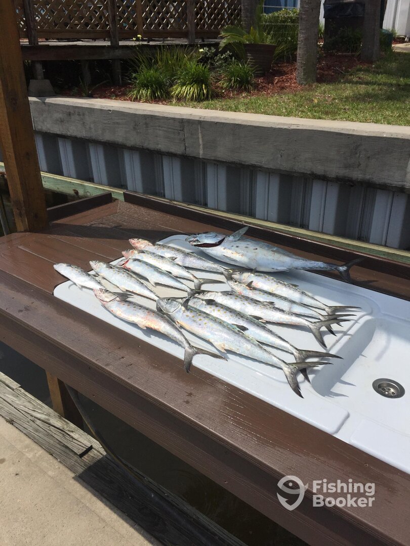 Destin Report Photo 0