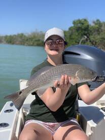 Marco Island Report Photo 2