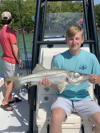Snook are showing up