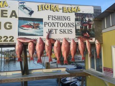 Final results of our trip 5/17