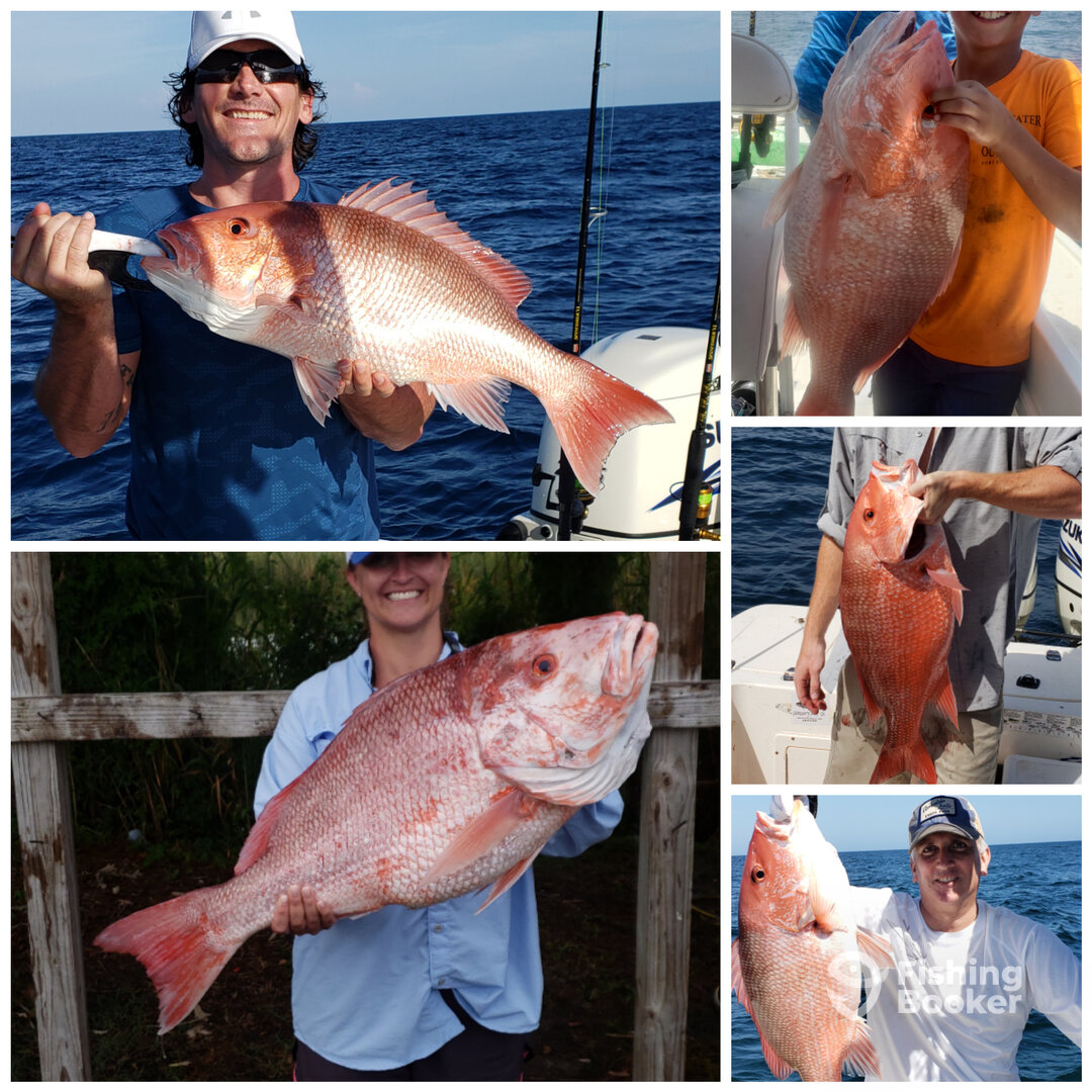 Apalachicola Report Photo 0