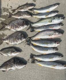 Port Orange Report Photo 2