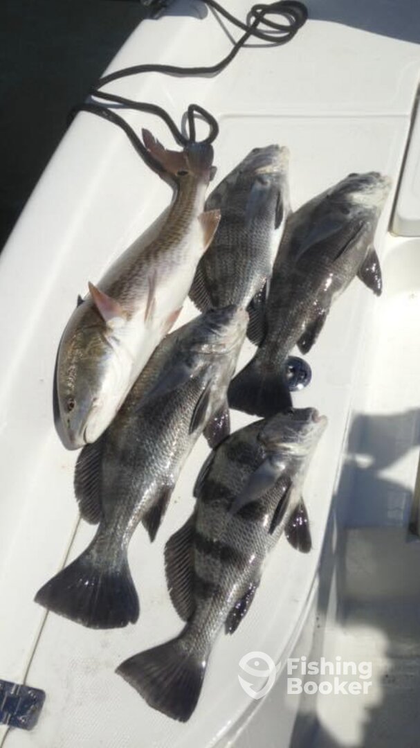 Wrightsville Beach Report Photo 0