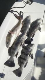 Spring Fishing Report 