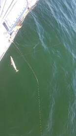 Nags Head Report Photo 1
