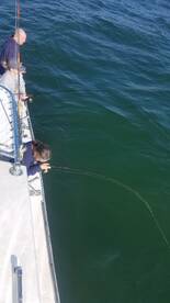 Nags Head Report Photo 2